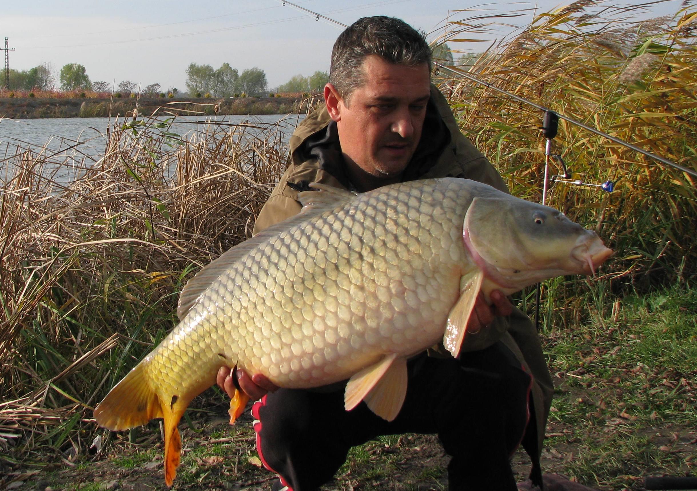 capturi - IMG_2816.JPG